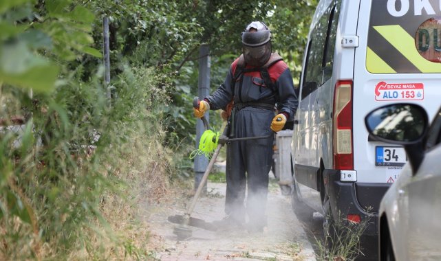 Kartal'da yabani otlar biçilerek temizlik çalışmaları yapılıyor