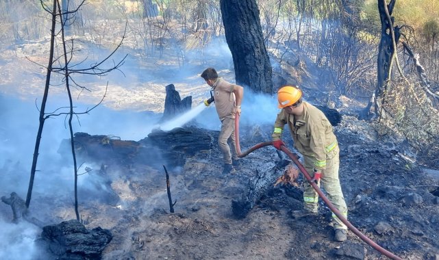 Kumluca'da çıkan orman yangını söndürüldü