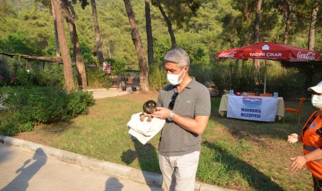 Marmaris Belediyesi Geçici Hayvan Bakımevi yangından etkilenen hayvanlara en güvenli alan oldu