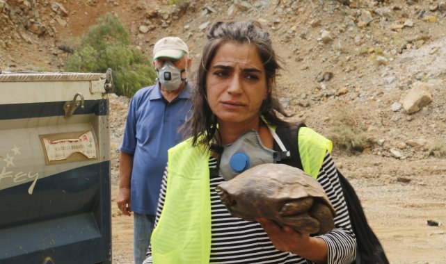 Muğla'da dumanlar içerisinde kalan kaplumbağaya ekiplerden can suyu