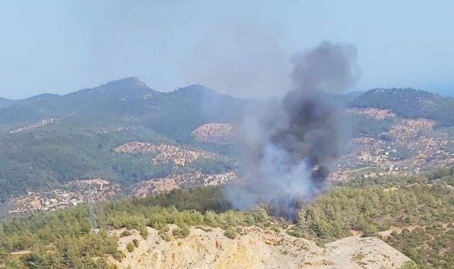 Muğla'da orman yangını