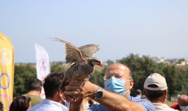 OMÜ'de kampüse keklik ve sülün salındı