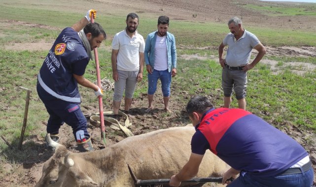 Özalp'ta çamura saplanan büyükbaş hayvan kurtarıldı