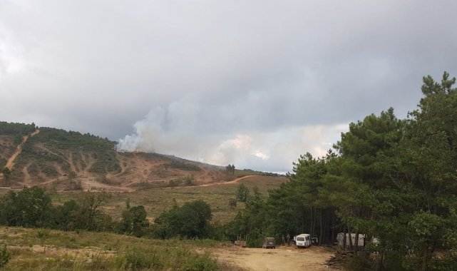 Pendik'te orman yangınına havadan ve karadan müdahale