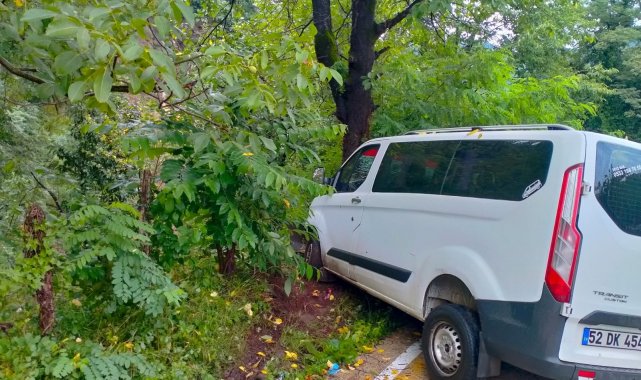 Samsun'da minibüs ağaca çarptı: 2 yaralı