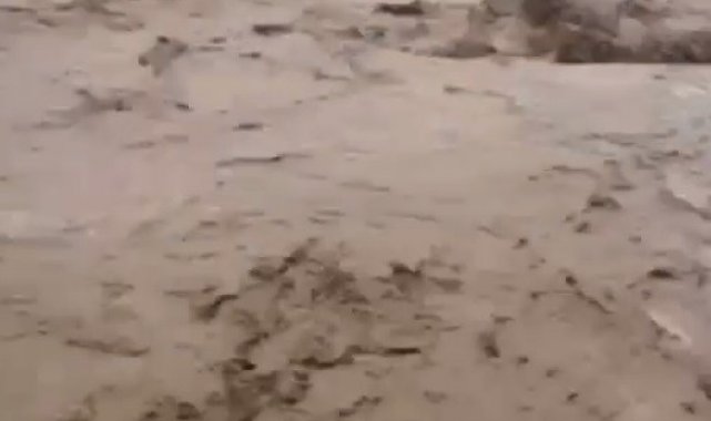 Sarıkamış'ta bir köyü sel bastı