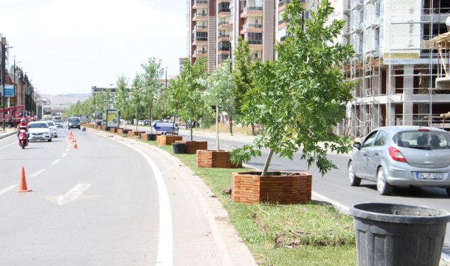 Sivas Belediyesi'nin ağaçlandırma çalışmaları devam ediyor