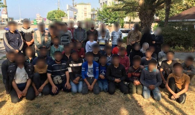 TEM'de durdurulan bir minibüsten 50 kaçak göçmen çıktı: 3 gözaltı