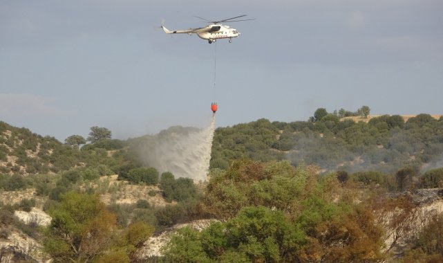 Uşak'ta çıkan yangın kontrol altına alındı
