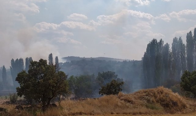 Uşak'ta çıkan yangına havadan müdahale ediliyor