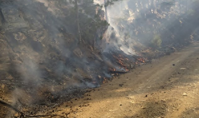 Adana'da orman yangını