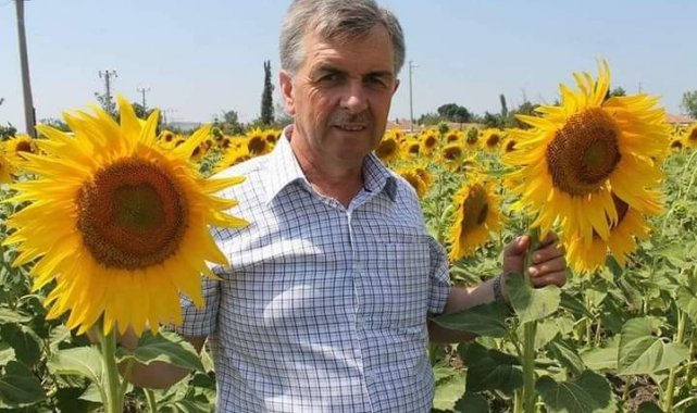 Ayçiçek avans fiyatları üreticinin yüzünü güldürdü