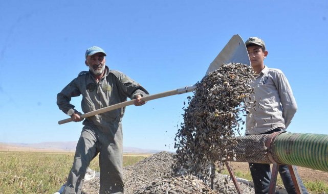 Başkan Bulut'tan "TMO çerezlik ayçeğirdeğini de alsın" teklifi
