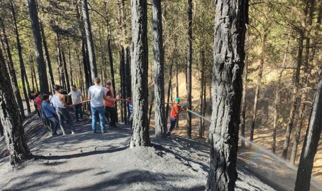 Bingöl'de çamlık alanda çıkan yangın büyümeden söndürüldü