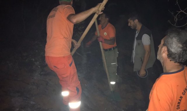 Bingöl'de çıkan orman yangını söndürüldü