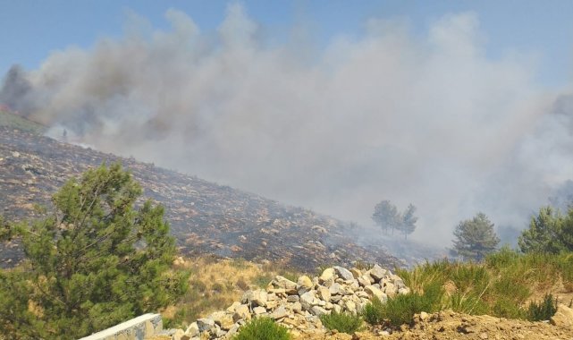 Bodrum'daki yangına havadan ve karadan müdahale ediliyor