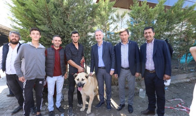 Çoban köpekleri İnegöl'de yarıştı