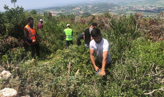 Defne, TÜRKPATENT tarafından 'Türk' ibaresi ile tescillenen ilk ürün oldu