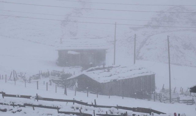Doğu Karadeniz'in yüksek kesimlerinde kar kalınlığı 30 santimetreyi buldu