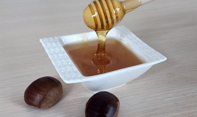 Düzce kestane balı coğrafi işaret tescilini aldı