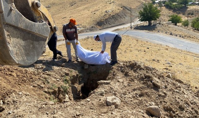 Elazığ'da etrafa saçılan kemikler toplanıp kefenlendikten sonra yeniden defnedildi