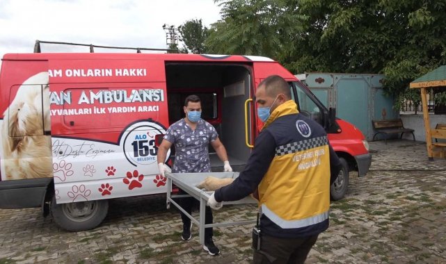 Erzincan'da 'hayvan ambulansı' hizmete girdi
