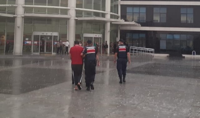 Ev fareleri jandarmadan kaçamadı