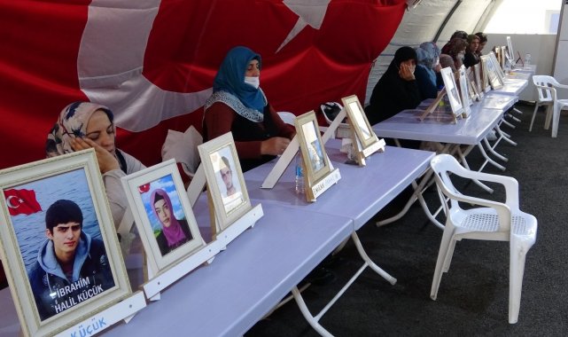 Evlat hasreti çeken baba Demir: "Kardeşi kardeşe vurdurtuyorlar"