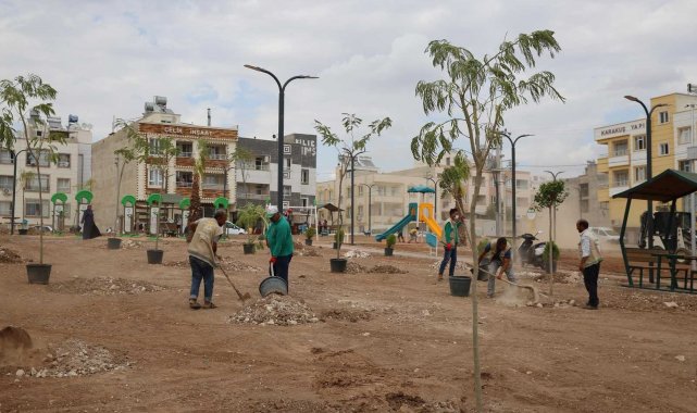 Haliliye'de ağaçlar toprakla buluşuyor