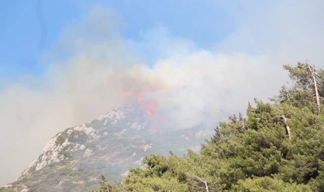 Hatay'da orman yangını