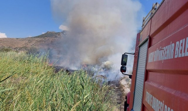 Hatay'da sazlık yangını seraları yaktı