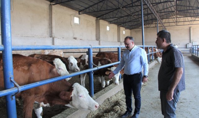 Hayvancılık işletmesi ziyaret edilerek incelendi