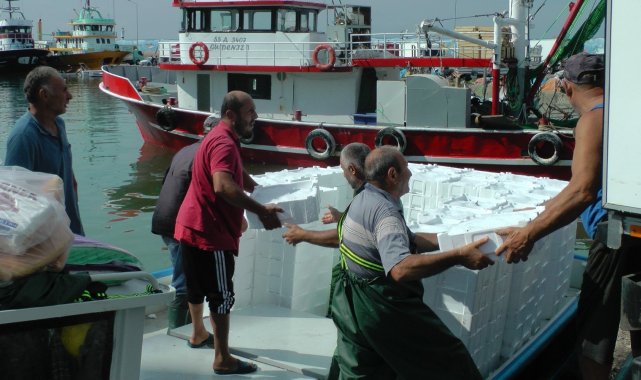 Karadeniz'de palamut ve hamsi bolluğu