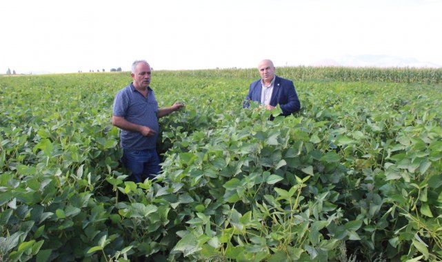 Karaman'da ilk defa bir besici tarafından silajlık soya ekildi