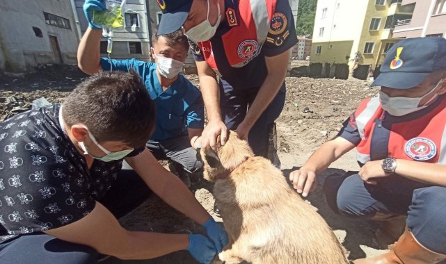 KASMİB, afet bölgesinde hizmetlerine devam ediyor