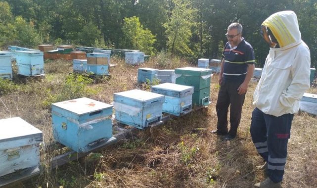 Kırklareli'nde meşe balı üreticileri bilgilendirildi