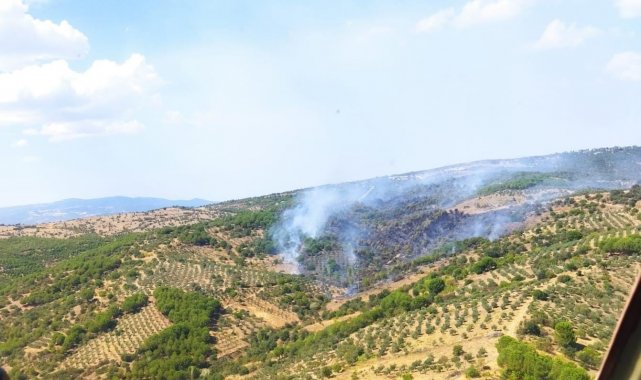 Manisa'da çıkan orman yangını kontrol altında