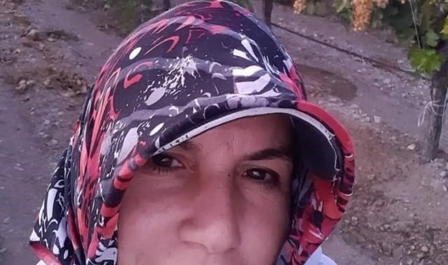 Minibüsün çarptığı tarım işçisi öldü