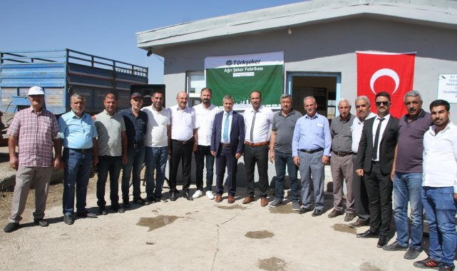 Muş'un Malazgirt ilçesinde pancar alım kampanyası başladı