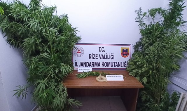 Rize'de iş yerine uyuşturucu baskını