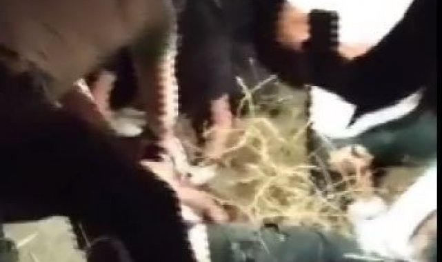 Şanlıurfa'da zincirleme trafik kazası: 1 ölü, 6 yaralı
