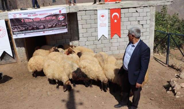 Siirt'te çiftçilere koyun dağıtıldı