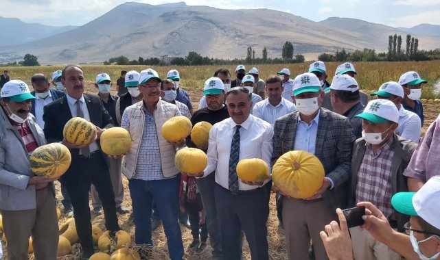 Türkiye'de ilk; ilk yerli ve milli kabak çekirdeği 'Keykubat'ın ilk ürünleri hasat edildi