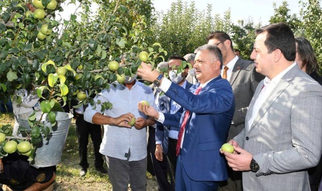 Vali Yazıcı, Karyağdı Armudunun hasadını gerçekleştirdi