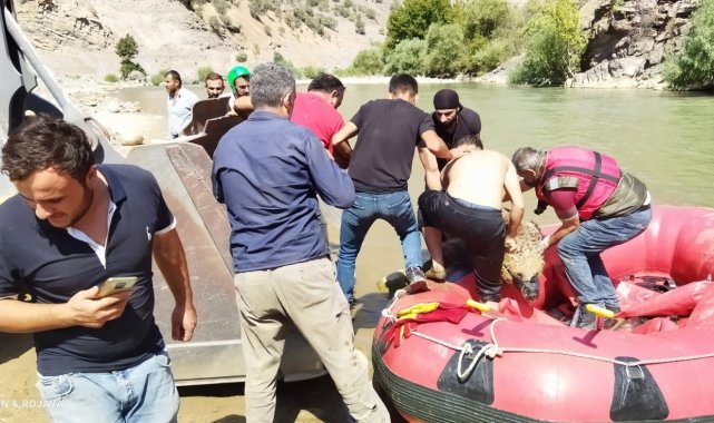 Yaralı ayı botla Zap Suyu'nun karşı tarafına geçirilerek Van'a sevk edildi