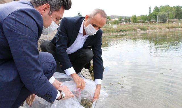 Yarım milyon yavru balık gölle buluşturuluyor