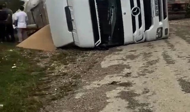 Yem yüklü kamyon devrildi