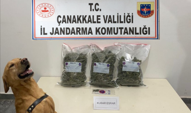 Jandarmadan operasyon; 2 gözaltı
