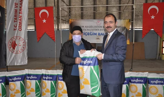 Üreticilere ayçiçeği tohumu dağıtıldı