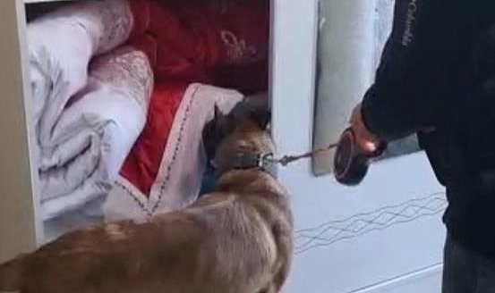 Uyuşturucu operasyonu; 23 tutuklama